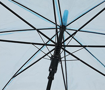 clear umbrella